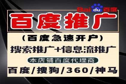 案例解析：网络推广竞价如何助力企业快速发展